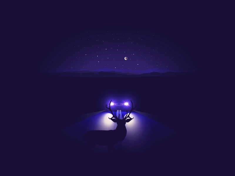 Deer In A Headlights bambi accident wild death fast car headlights dee.webp