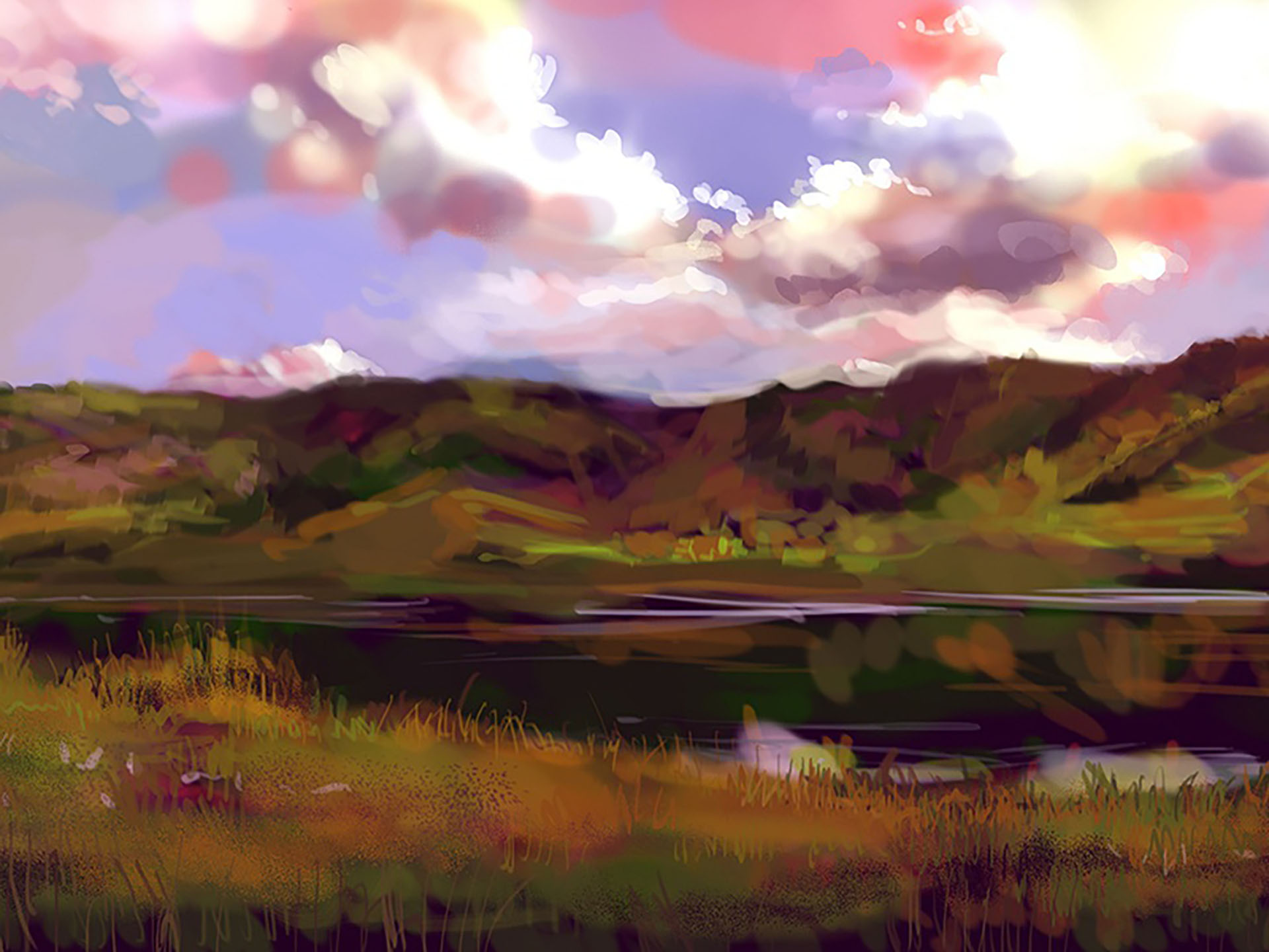 Hill Study hill environment.jpg