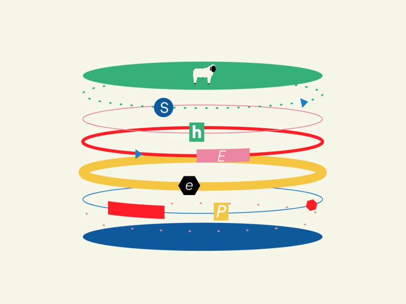 CTIA 5G Spectrum character vector design contrast color sheep flat mot.gif