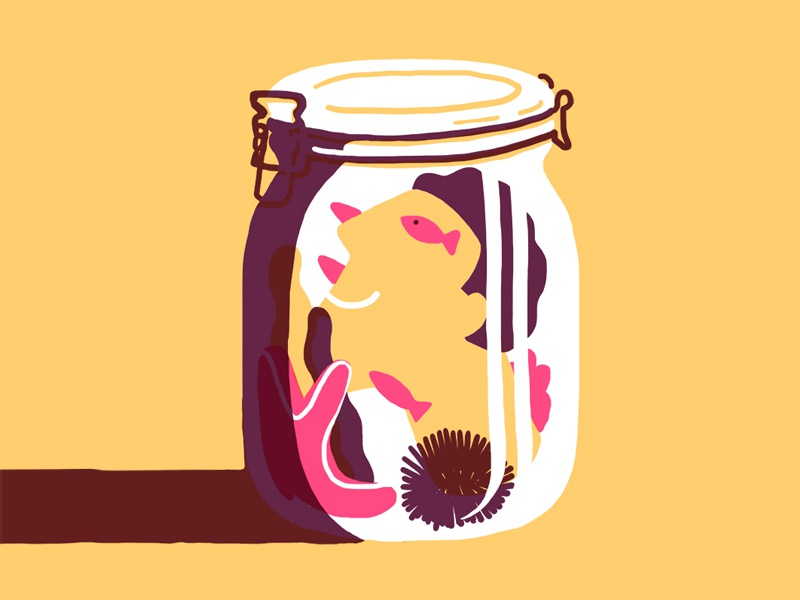 STORING SUMMER SOUL faustomontanari sea illustration autumn summer pre.jpg