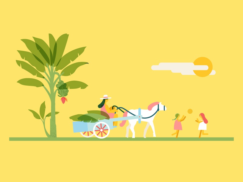 people sun palm horse riding south america people bananas fair trade.jpg