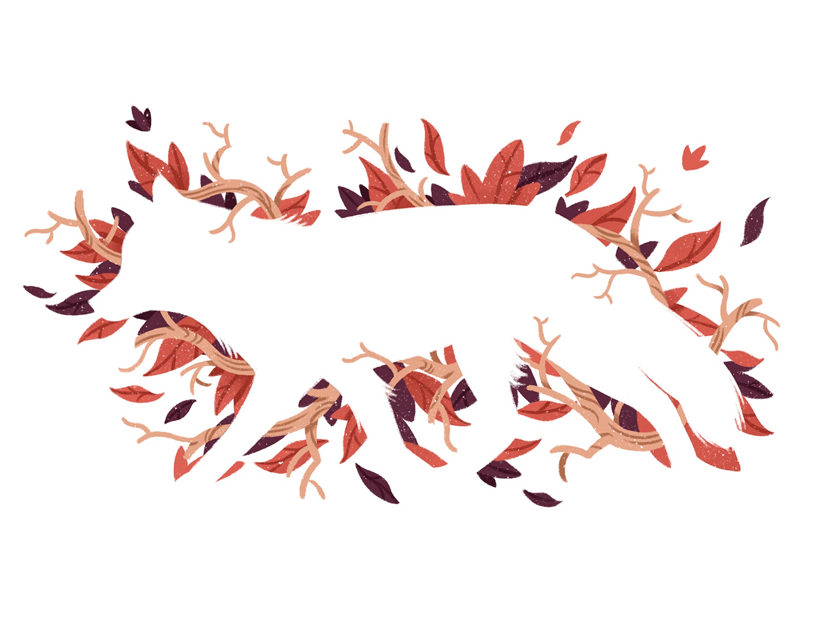White Fox editorial illustration nature fox editorial illustration.jpg