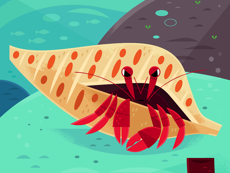 Feeling Crab childrens book children kidlitart kids lit kidlit underwa.jpg