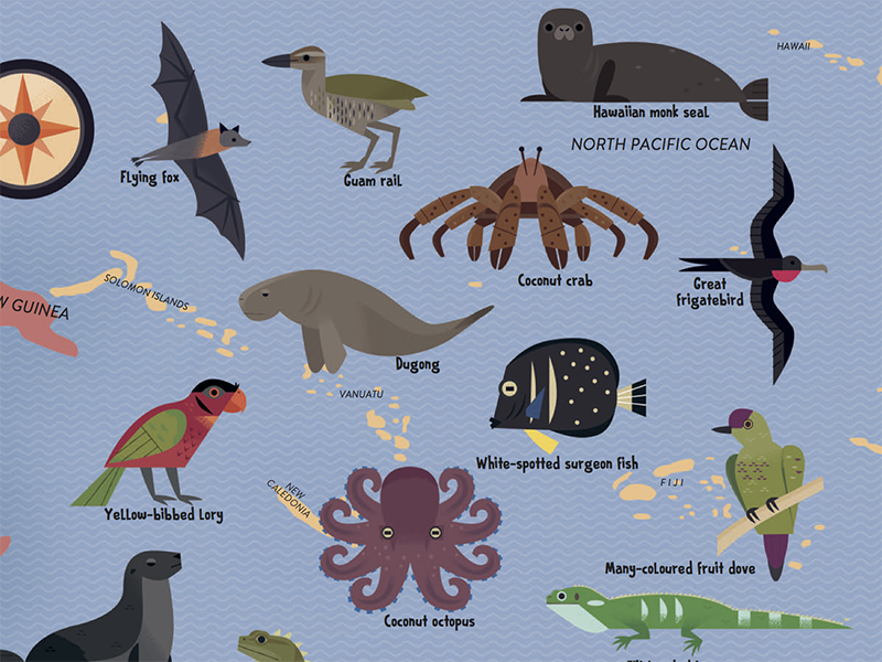 Animals of the South Pacific wildlife nature animal map map design ico.png