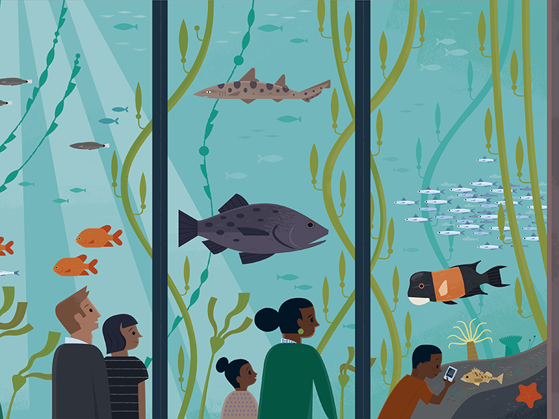 Kelp Tank nature travel illustration california aquarium ocean illustr.png