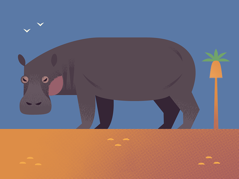 Hippo african animals africa wildlife nature spot illustration icons a.png