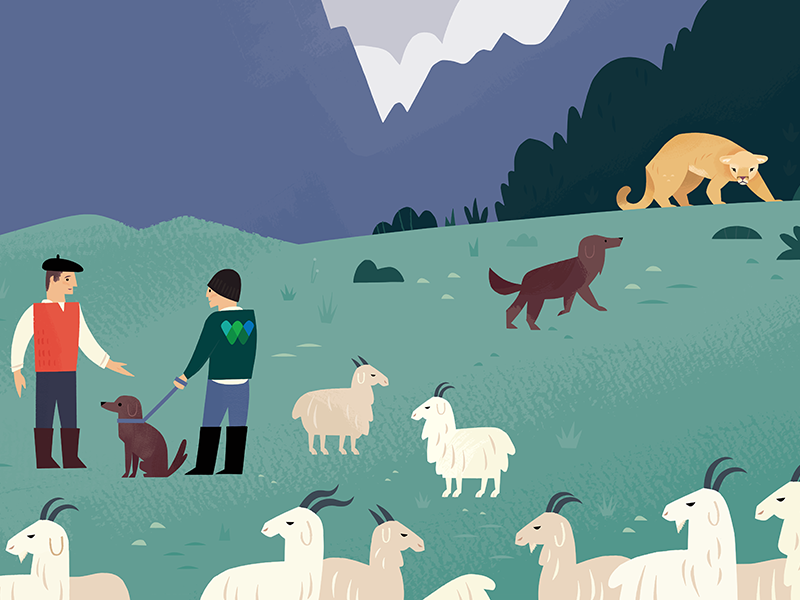 Dogs and Pumas animals conservation wildlife illustration.png