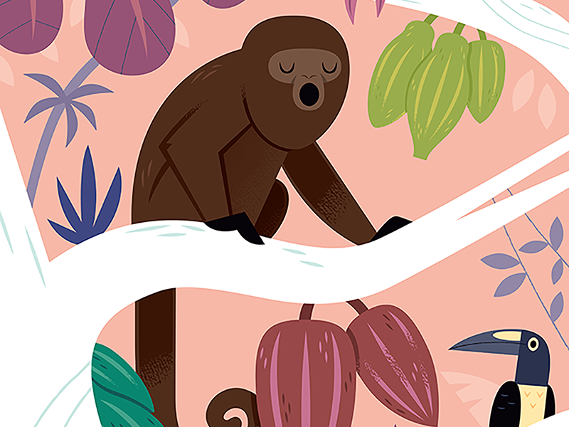 Cacao botanical fruit mexico cacao chocolate wildlife nature jungle mo.png