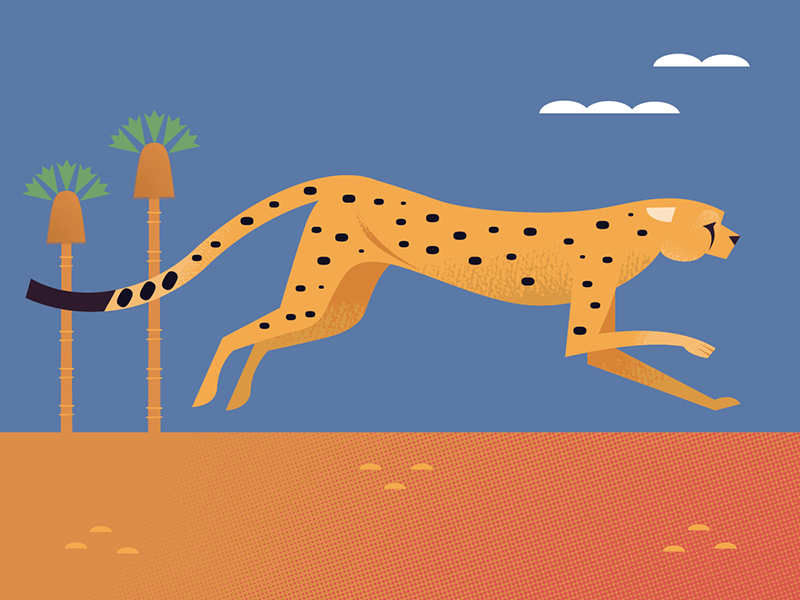 Cheetah african animals africa wildlife nature spot illustration icons.png