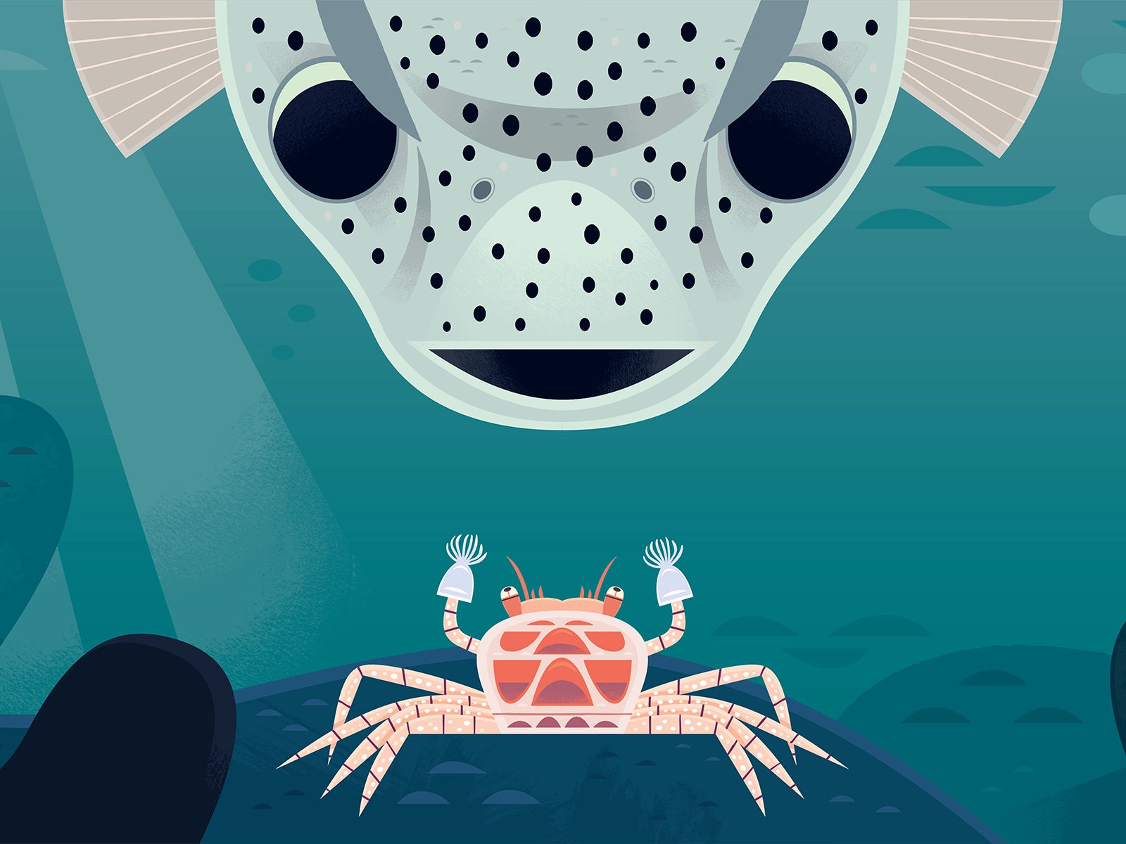 Boxer Crab picture book childrens book kidlitart fish aquarium ocean a.webp