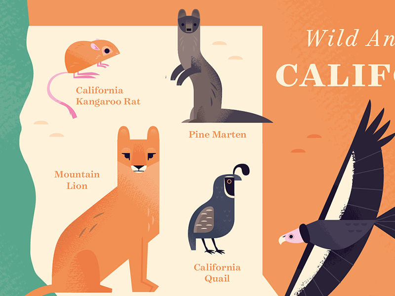 Animals of California Map icon design nature california wildlife anima.png