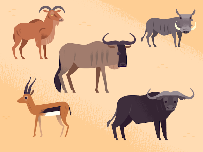 Assorted African Ungulates wildlife nature spot illustration icons ani.png