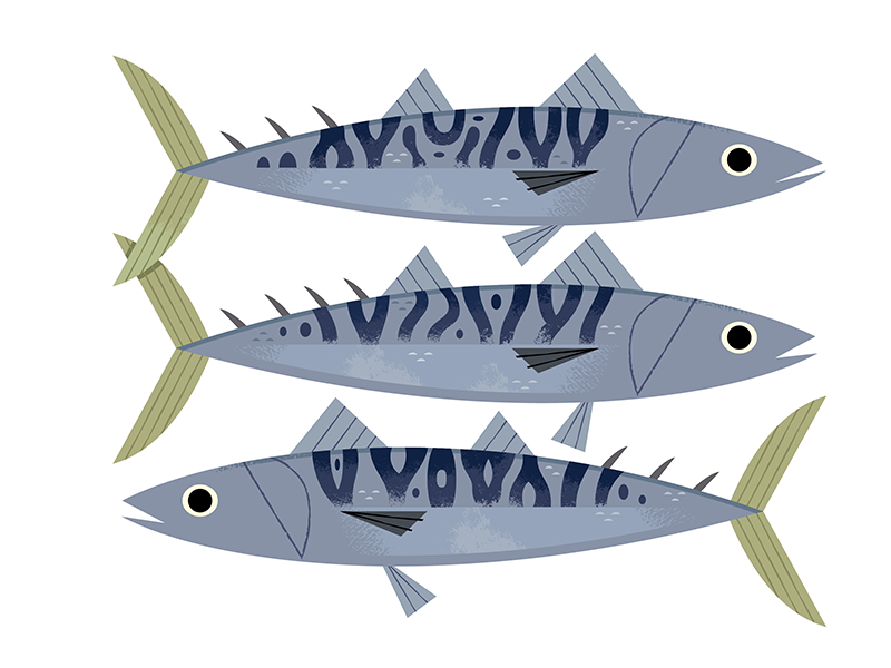 Mackerel fish seafood illustrated food food wildlife nature animals il.png