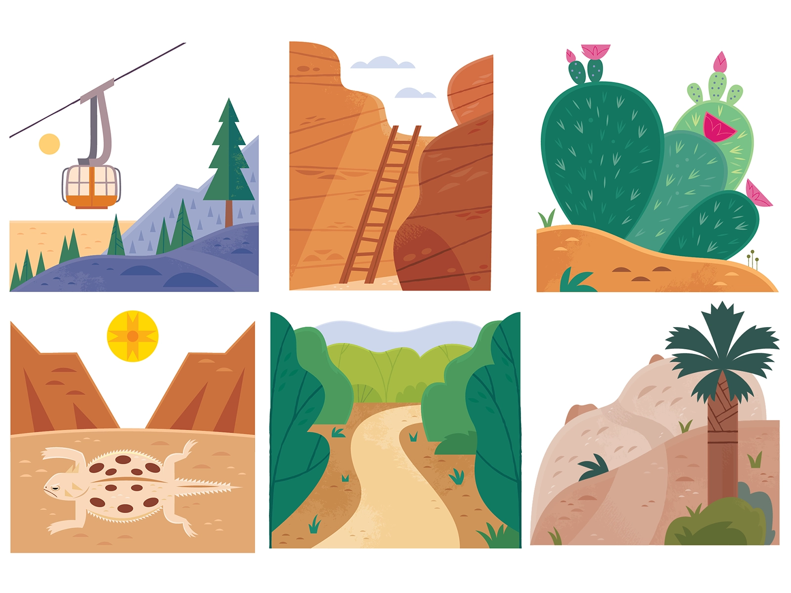 Palm Springs Hikes adobe illustrator palm springs mountains desert map.webp