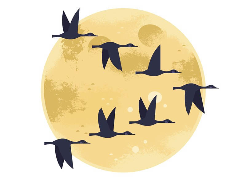 Moonlight Migration moon autumn animals nocturnal birding nature wildl.png
