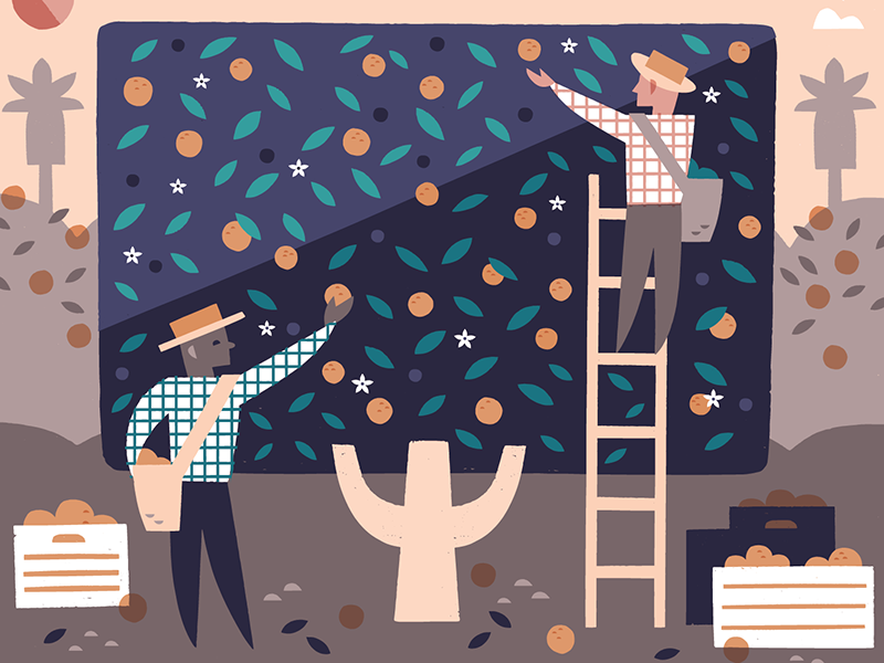Citrus Grove illustration design graphic design california los angeles.png