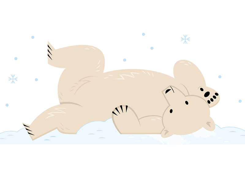 Polar Bear arctic animals winter snow science kids lit animal characte.png