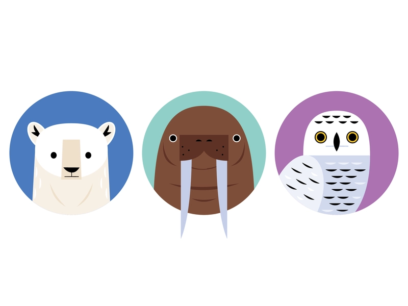 Arctic Icons animal icons icon design owl polar bear walrus polar anim.webp