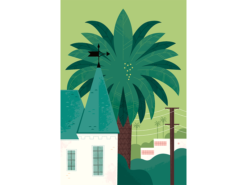 Palm Tree plants travel vector illustration california vector illustra.png
