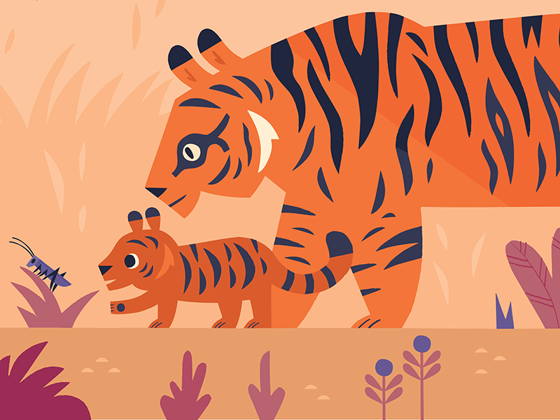 Tiger Paws animal illustration animal tiger illustration tiger book il.png