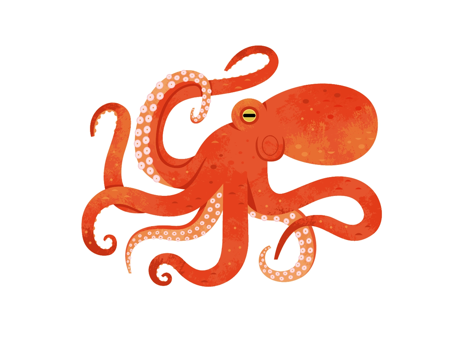 Giant Pacific Octopus ocean spot illustration vector octopus aquarium.webp