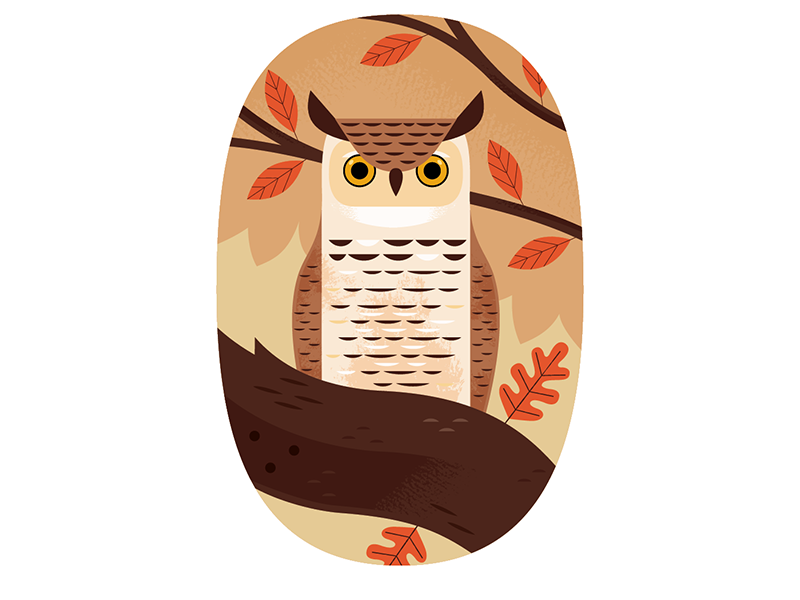 Autumn Owl animal icon bird icon bird horned owl owl autumn wildlife n.png