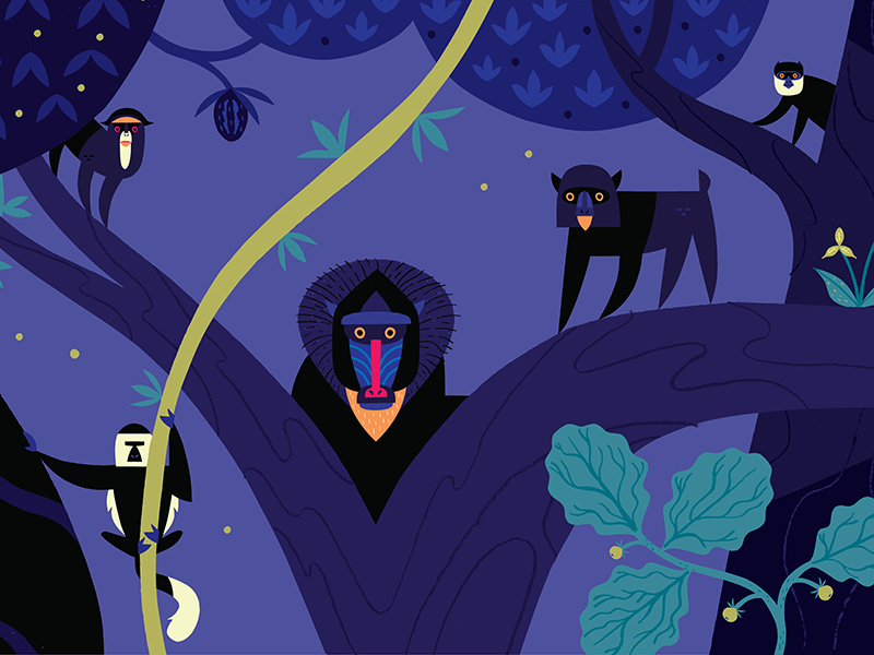 The Mandrill King africa jungle year of the monkey animal illustration.webp