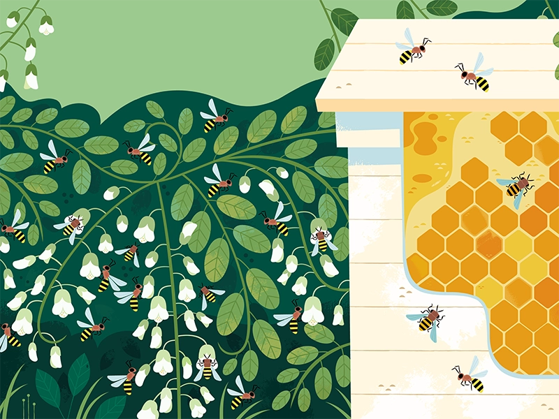 Bees at the Hive plants science patterns floral flowers nature animals.webp