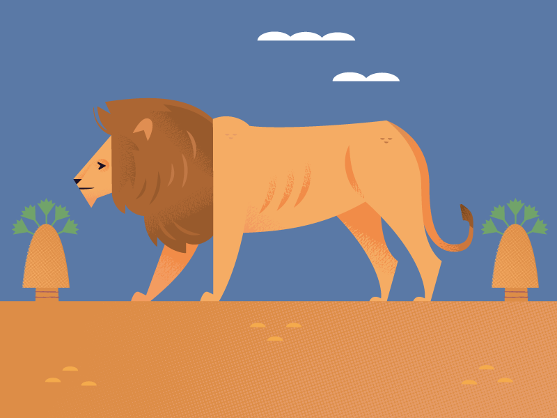 Lion african animals africa wildlife nature spot illustration icons an.png