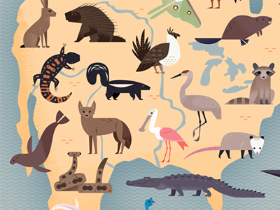 Animals of North America coyote alligator science nature wildlife anim.png