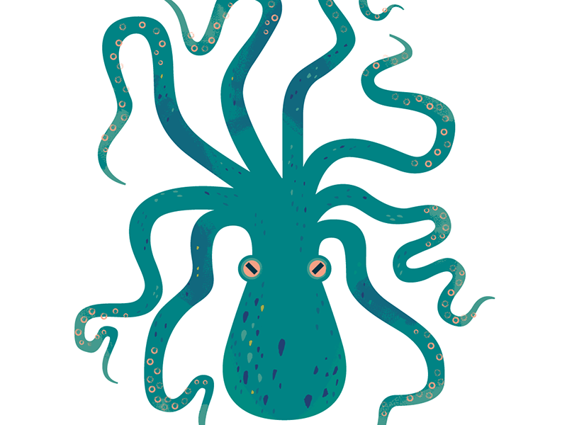 Octopus nature spot illustration sealife ocean wildlife animal octopus.png