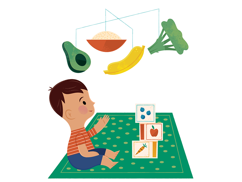 When to Introduce Solid Foods design vector food illustration food ill.png