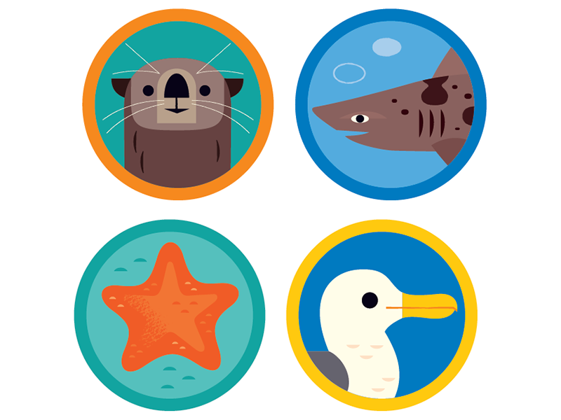 Ocean Icons california animal icons icon design icons beach shark otte.png