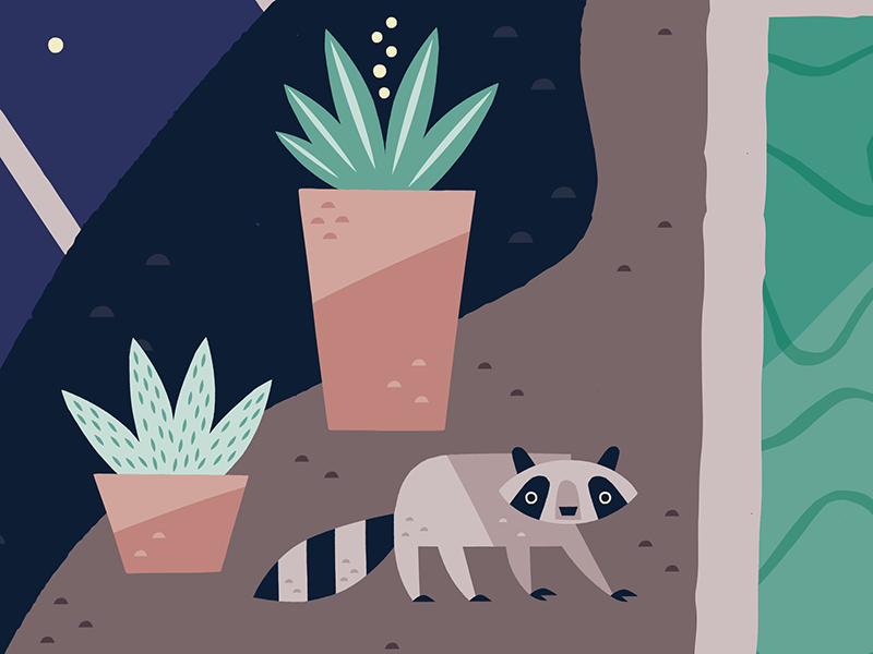Night Visitor raccoon animal design illustration.png