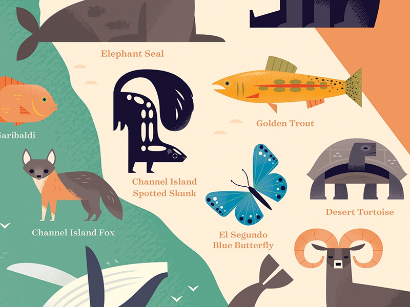 Animals of Southern California california travel wildlife animal map a.jpg