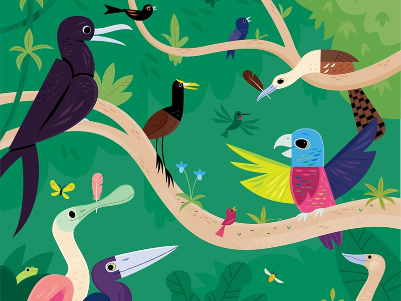 Iguaca childrens books kids lit folktale birds wildlife nature animals.webp