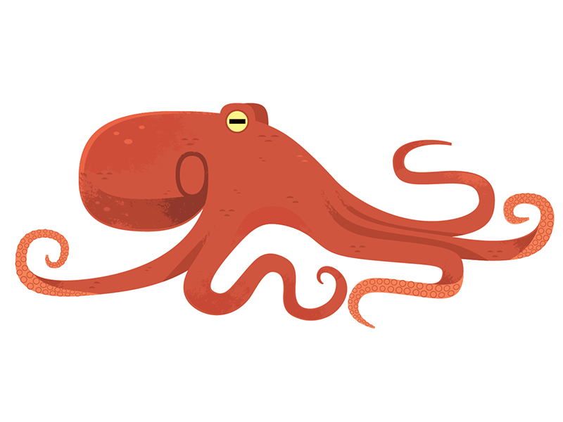 Giant Pacific Octopus seafood nature vector illustration vector octopu.png