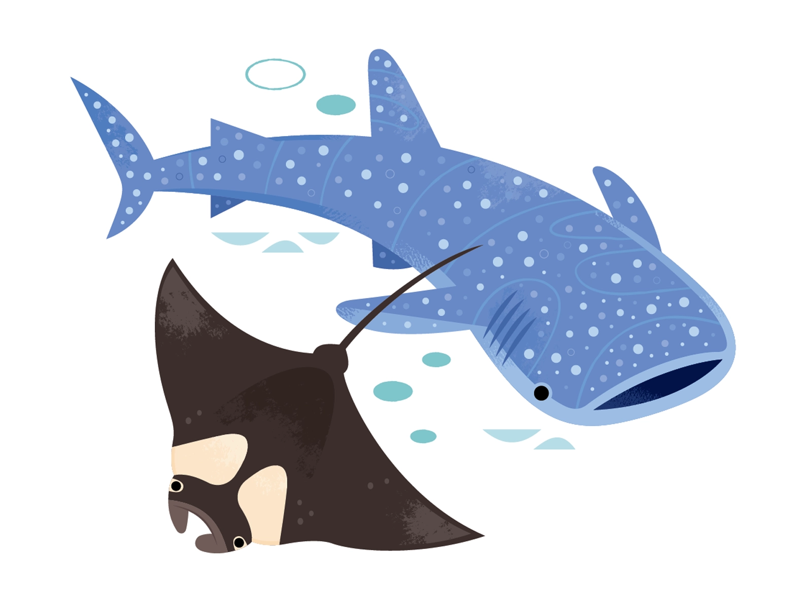 Georgia Aquarium vector shark whale shark manta ray aquarium wildlife.webp