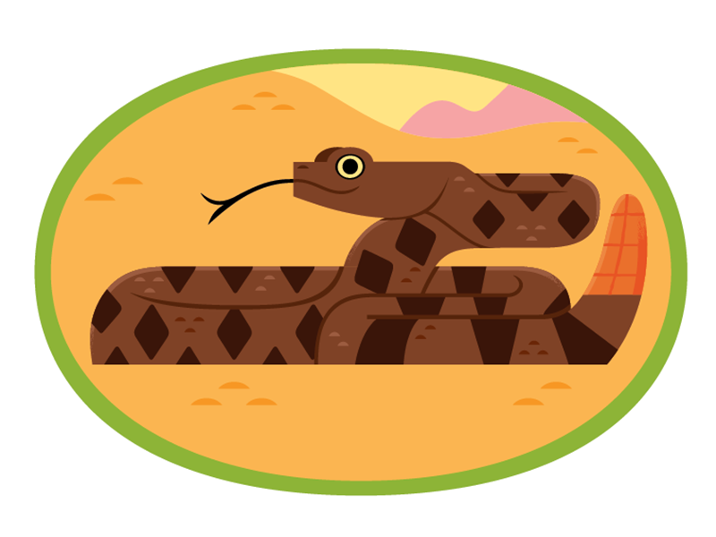 Rattlesnake desert rattlesnake vector snakes wildlife nature design an.png