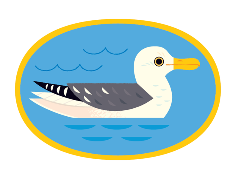 Seagull california animal icons icon design icons beach birds seagull.png