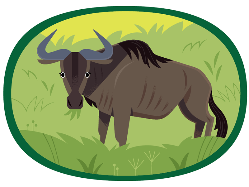 Wildebeest africa african animals vector wildlife nature animals illus.webp