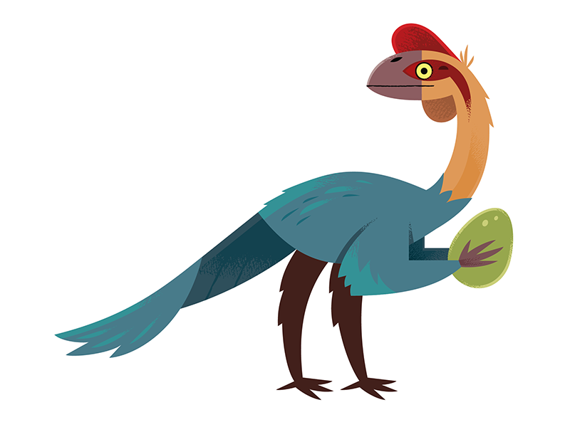 Oviraptor science nature prehistoric dinosaur illustration dinosaur an.png