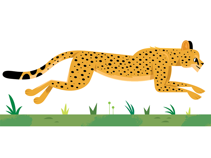 Cheetah childrens book childrens kids lit african animals africa cheet.webp