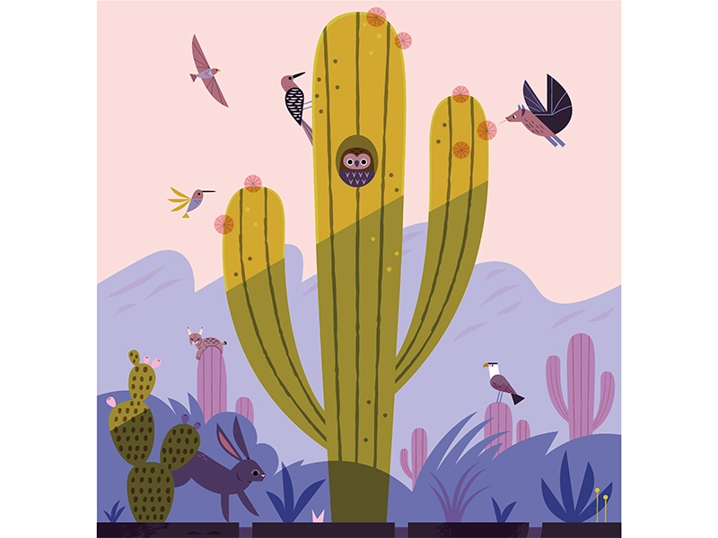 Saguaro desert wildlife desert owl cactus saguaro national parks vecto.webp