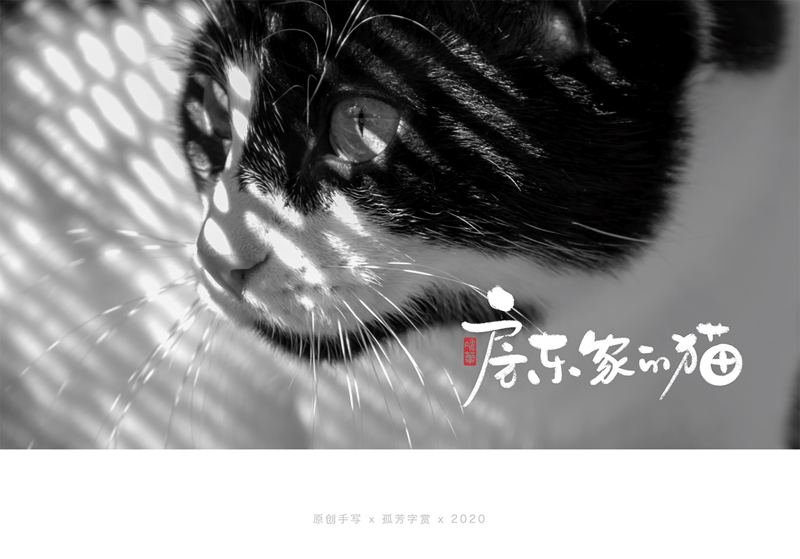 手写字体设计7月