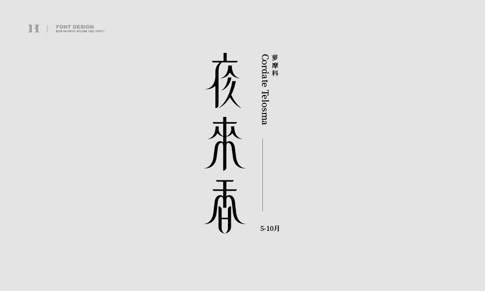 字集【二十四】