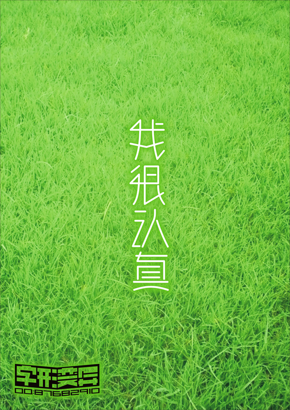 字形变异 第二十八辑