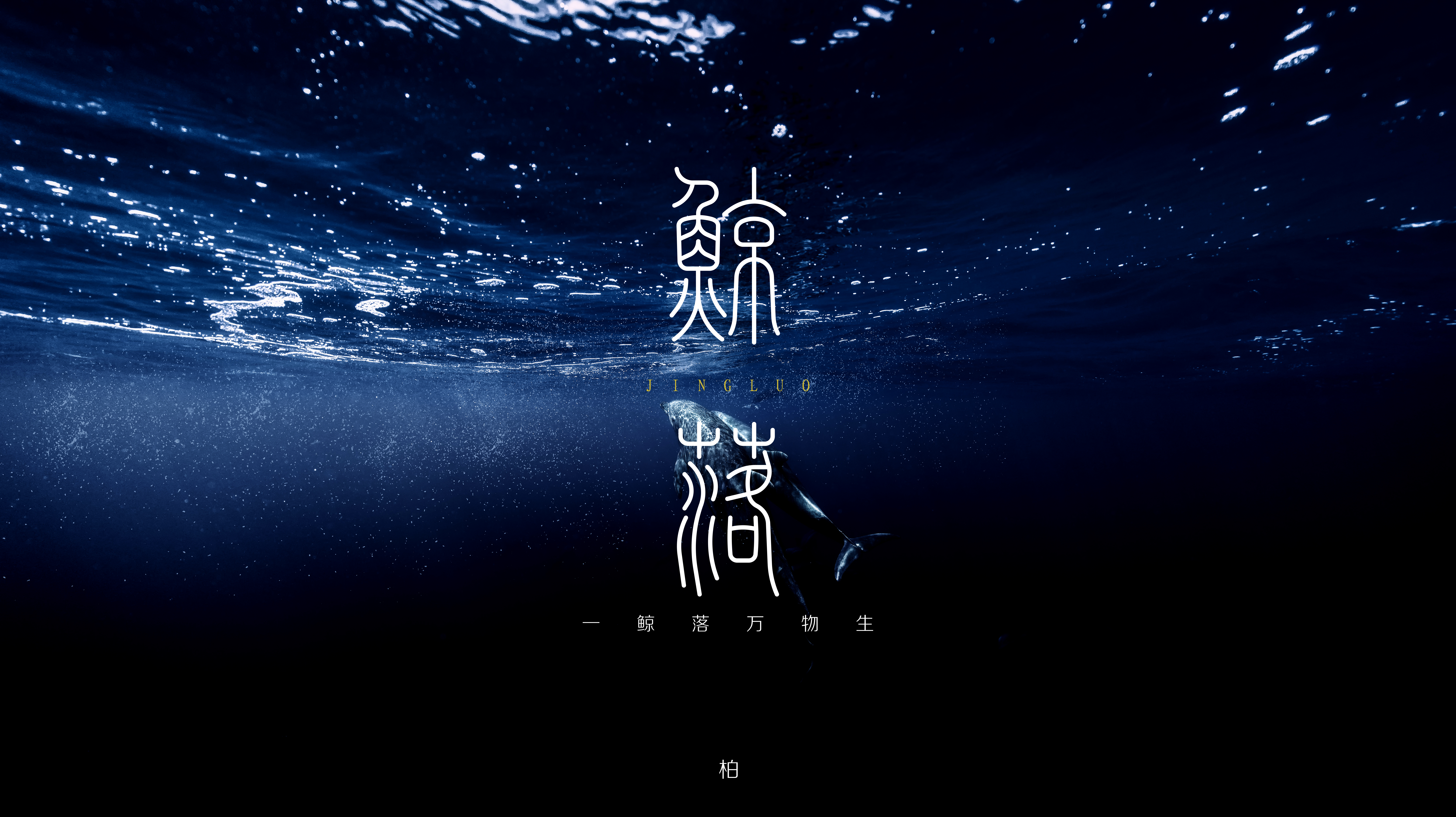 “字”觉日记 | 字体版式小结