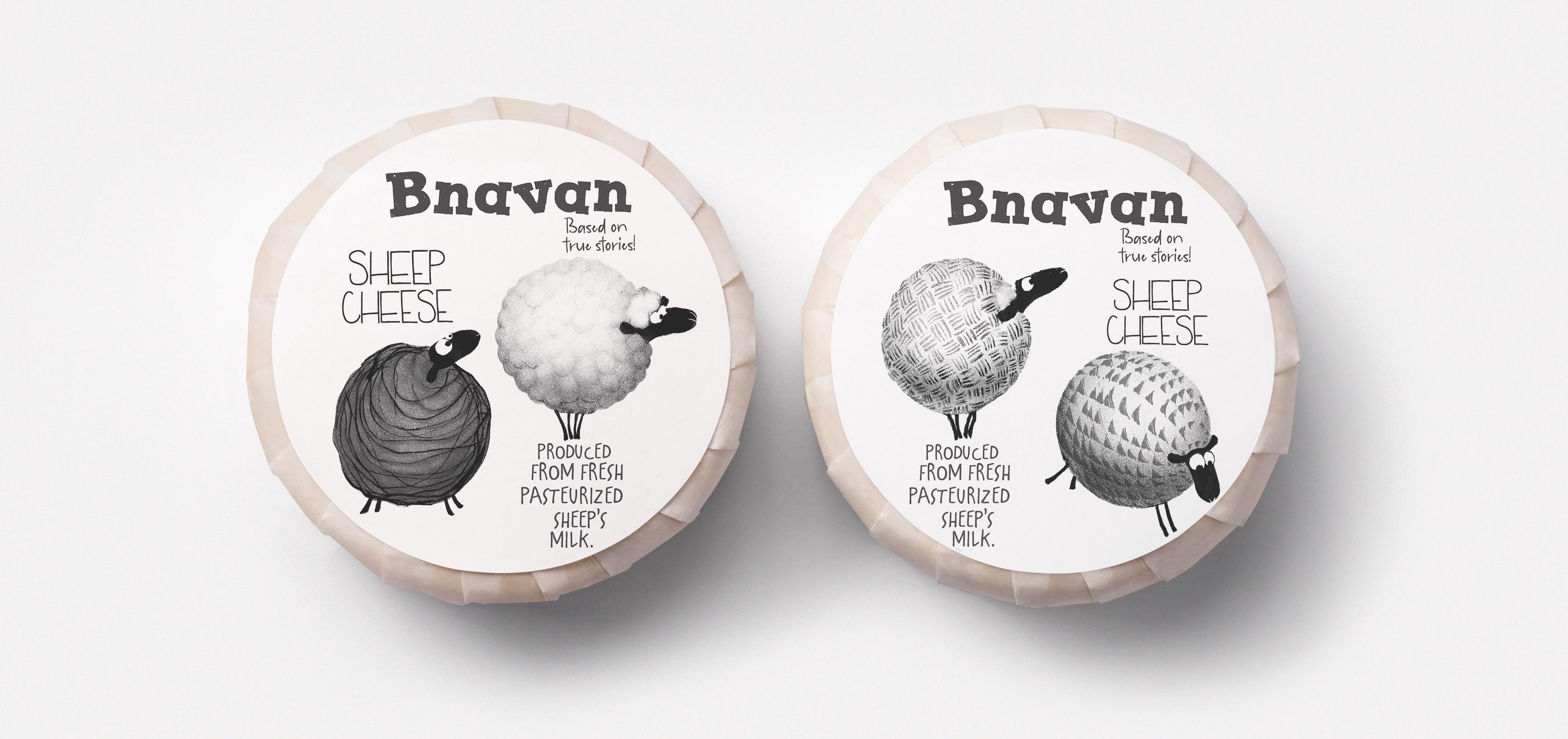 bvanan_identity_banner