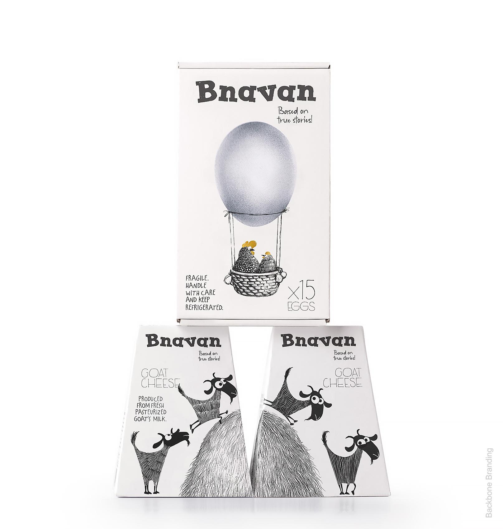 bvanan_identity_03